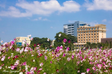 Thông báo về địa điểm trụ sở làm việc mới của Trung tâm Thông tin Xúc tiến Du lịch tỉnh Kon Tum