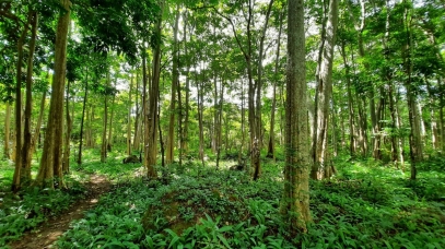 Khu Du lịch sinh thái Vườn quốc gia Chư Mom Ray kỳ vọng sẽ trở thành điểm nhấn du lịch Kon Tum