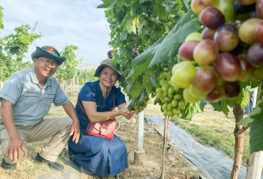 Ðẩy mạnh phát triển du lịch nông thôn